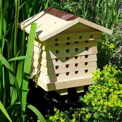 arı villası