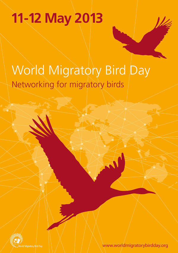 dünya göçmen kuşlar günü 2013