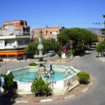 sarigol